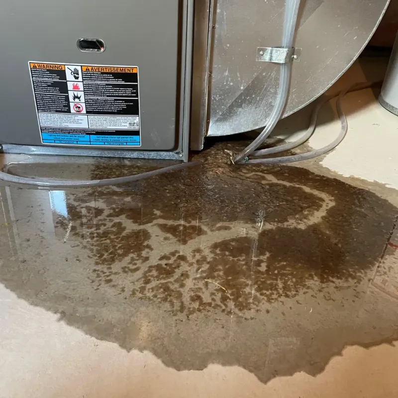 Appliance Leak Cleanup in Terre Hill, PA